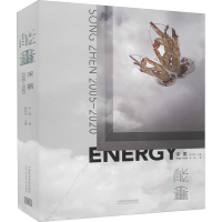 [M]能量 宋振 2005-2020-9787550326262