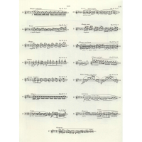 [M]肖邦作品全集·2 练习曲-9787552320817