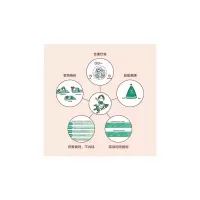 [M]我要找回活力满满的自己 超忙超累妈妈的精力管理课-9787576317152