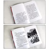 [M]豹子哈奇-9787556029136