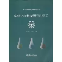 [M]中学化学教学研究性学习-9787566813152