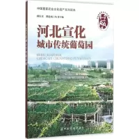 [M]河北宣化城市传统葡萄园-9787109195677