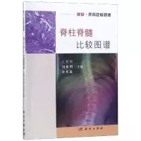 [M]脊柱脊髓比较图谱-9787030593870