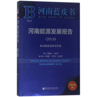 [M]河南能源发展报告(2018)-9787520126526