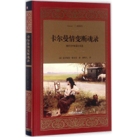 [M]卡尔曼情变断魂录-9787541146664