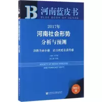 [M]2017年河南社会形势分析与预测-9787520105118