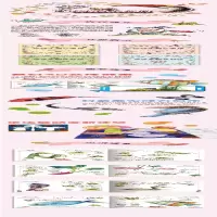 [M]呆奇地球生物大救援 第1季 可爱的鸟儿 李雪松,宋书魁,赵然 著 -9787551720953