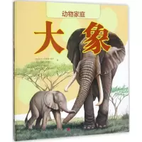 [N]大象-9787559604699