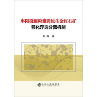 [M]枣阳微细粒难选原生金红石矿强化浮选分离机制-9787502481483