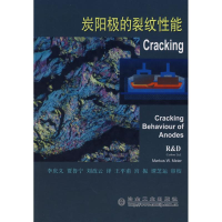 [M]炭阳极的裂纹性能\李庆义\贾鲁宁\刘改云译-9787502447632