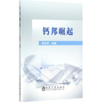 [M]钙邦崛起-9787502475741