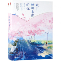 [N]致姗姗来迟的你(上下)-9787559434425