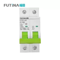 福田 小型断路器空开 家用空气开关小型断路器不带漏保 2P16A 单位:个