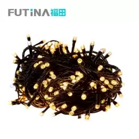 福田 LED串灯彩灯 黑线带尾插20米120灯 条