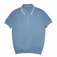 尘界浅蓝色polo衫男士短袖t恤2025新款夏季高级感翻领上衣男款