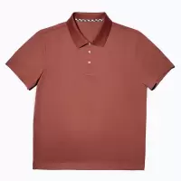 尘界男士短袖商务休闲翻领POLO衫棕色棉质T恤夏季薄