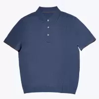 尘界男装爸爸夏季半袖翻领t恤男短袖中年人商务休闲polo衫