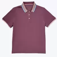 尘界高端棉质短袖T恤男夏季半袖POLO衫宽松翻领爸爸装商务上衣