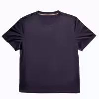 尘界男士短袖T恤衫2025夏季款时尚休闲纯色圆领衫