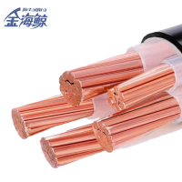 金海鲸 低烟无卤铠装电力电缆WDZYJY235×16 米