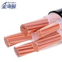 金海鲸 低烟无卤电力电缆WDZYJY4×50+1 米