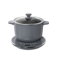 荣事达 电火锅DZG1580T