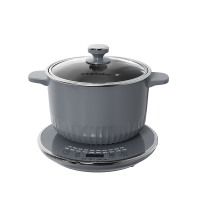 荣事达 电火锅 DZG1580T