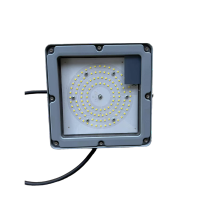 品兴 PX9160 60W IP66 220V 5700k LED投光灯 银色