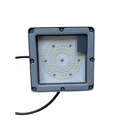 品兴 PX9160 60W IP66 220V 5700k LED投光灯 银色