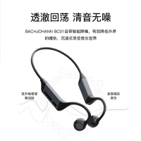 bach johann 德国巴赫BC01蓝牙耳机无线运动跑步不入耳式