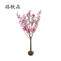 路轶森 海棠树 5公分 棵