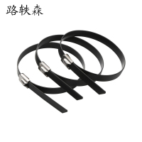 路轶森 不锈钢包塑自锁扎带 9*300mm 条