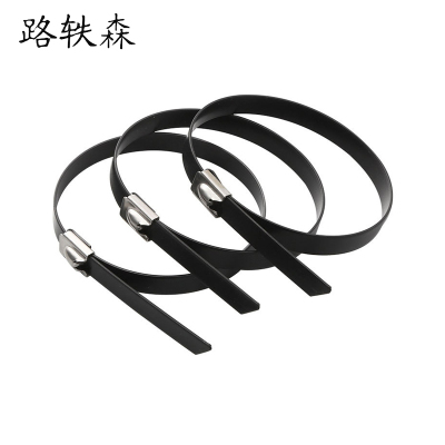 路轶森 304不锈钢包塑自锁扎带 5.6*350mm 条