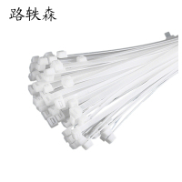 路轶森 尼龙扎带 8*300mm  根