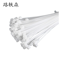 路轶森 尼龙扎带 10*500mm 包