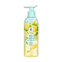 花茶吕-薄荷柠檬茶(原柚子红茶)洗发水400ML
