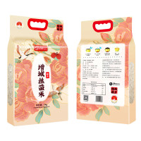 挂绿 增城丝苗米（臻品） 5kg