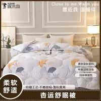 被子、四季被、被芯