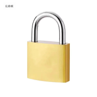 亿维顿-家用防盗挂锁 门锁 32mm/个