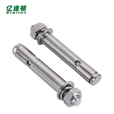 亿维顿 不锈钢膨胀螺栓 M8*100/个