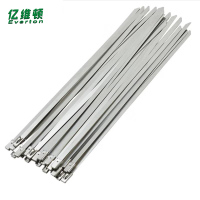 亿维顿 不锈钢扎带 7.9*200mm 100根 包