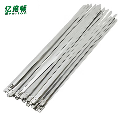 亿维顿 不锈钢扎带 7.9*450mm 100根 包