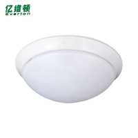 亿维顿 应急照明吸顶灯 YWD-302 个