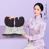 BKT 人体工学护腰坐姿椅 加大版 摩卡黑（不带坐套）故宫宫廷联名款 外观升级中 新老款随机发货