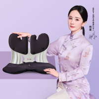 BKT 人体工学护腰坐姿椅 超大版 摩卡黑（带坐套）故宫宫廷联名款 外观升级中 新老款随机发货