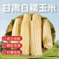 白糯玉米头茬甜糯玉米0添加开袋即食220g*10低脂代餐