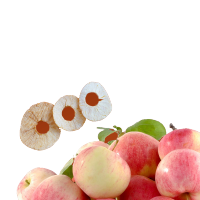 青谷家精选苹果脆片健康美味送礼佳品