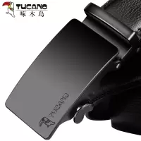 新款啄木鸟皮带男真皮正品商务简约自动扣腰带裤带青年休闲百搭tk