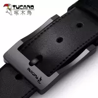 啄木鸟纯男士皮带真皮青年商务休闲韩版时尚学生裤带牛皮针扣腰带