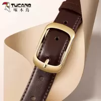 啄木鸟皮带女士2025新款时尚高级感百搭针扣韩版配牛仔裤腰带小众